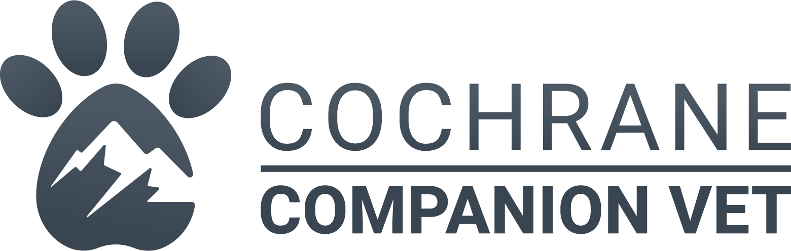 University District Vet Clinic Logo